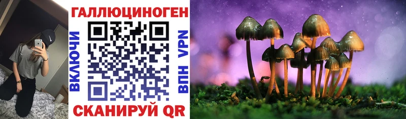 Псилоцибиновые грибы Magic Shrooms Сухиничи